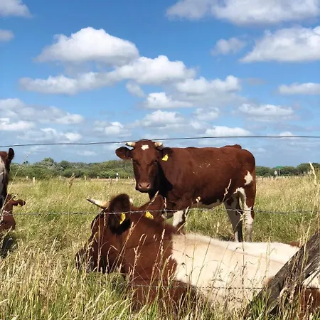 Lexow - An De Havenkant 3* Tönning